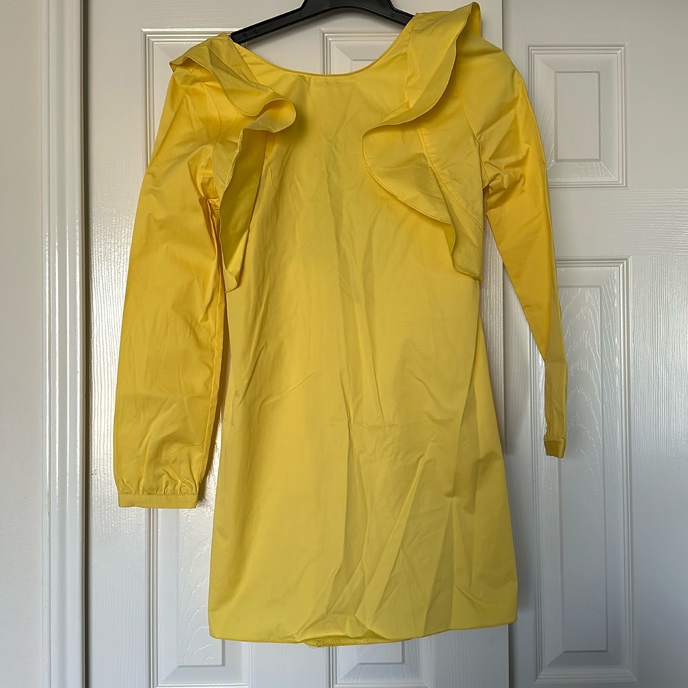 Zara dress. Long sleeves.